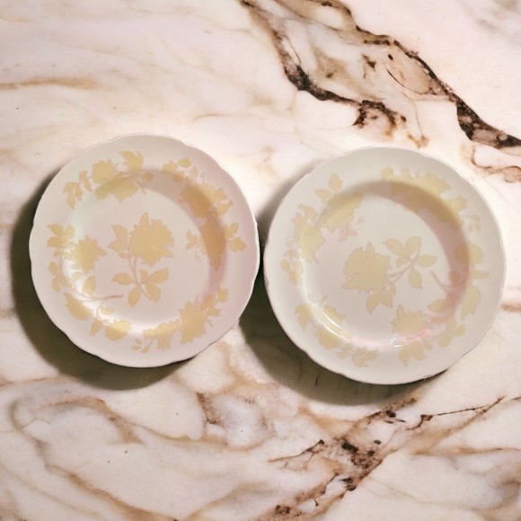 Rare Vtg Wedgwood Bone China Set of 2 11” Dinner Plates WW516 Yellow Floral - Picture 3 of 7